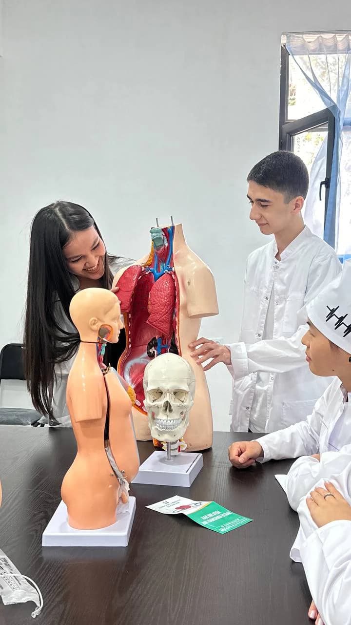 Students working with anatomical models