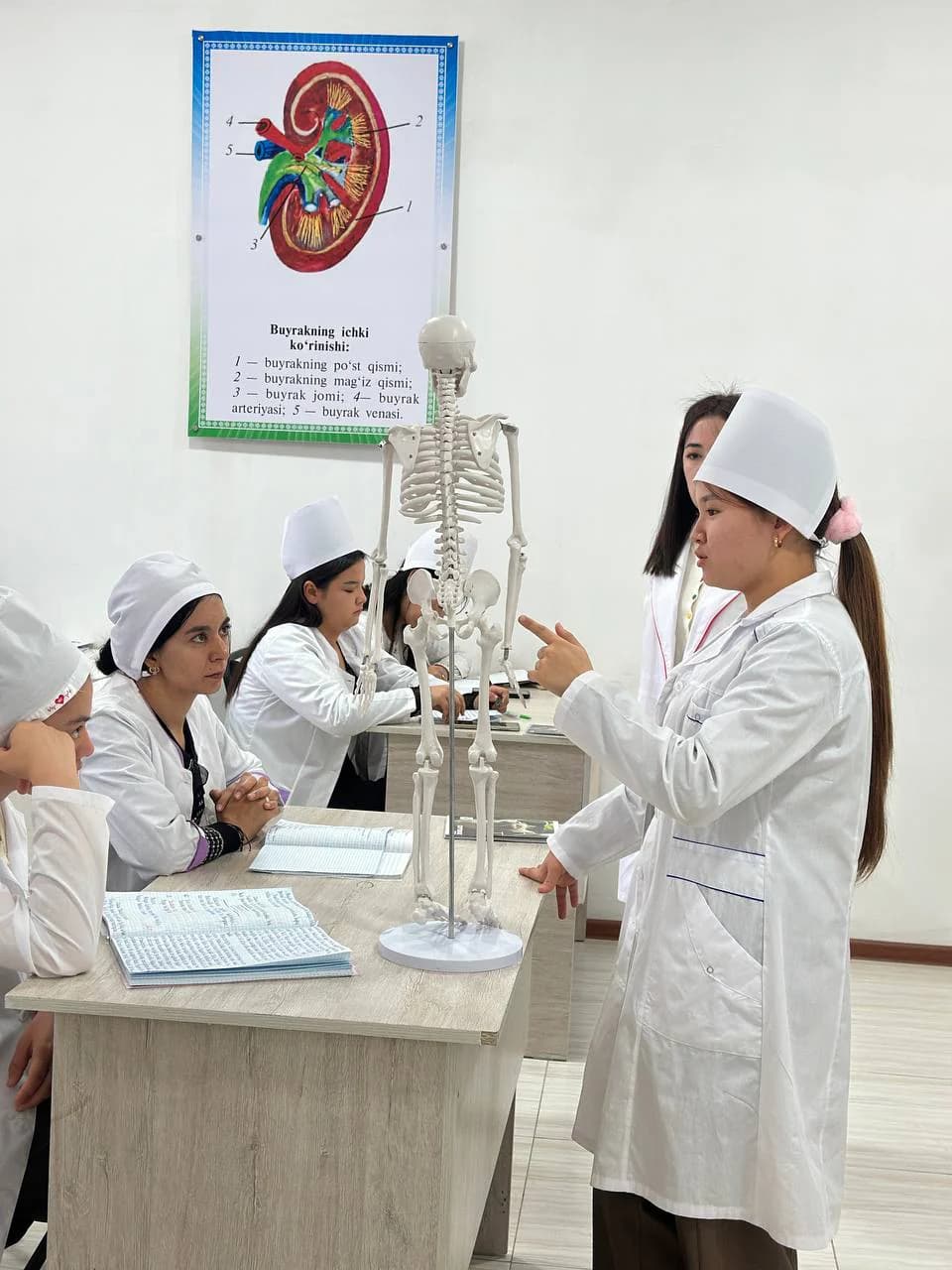 A student explaining a topic on a skeleton model
